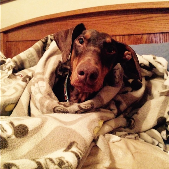 Meet your Posher, Andrea - Picture 1 of 1